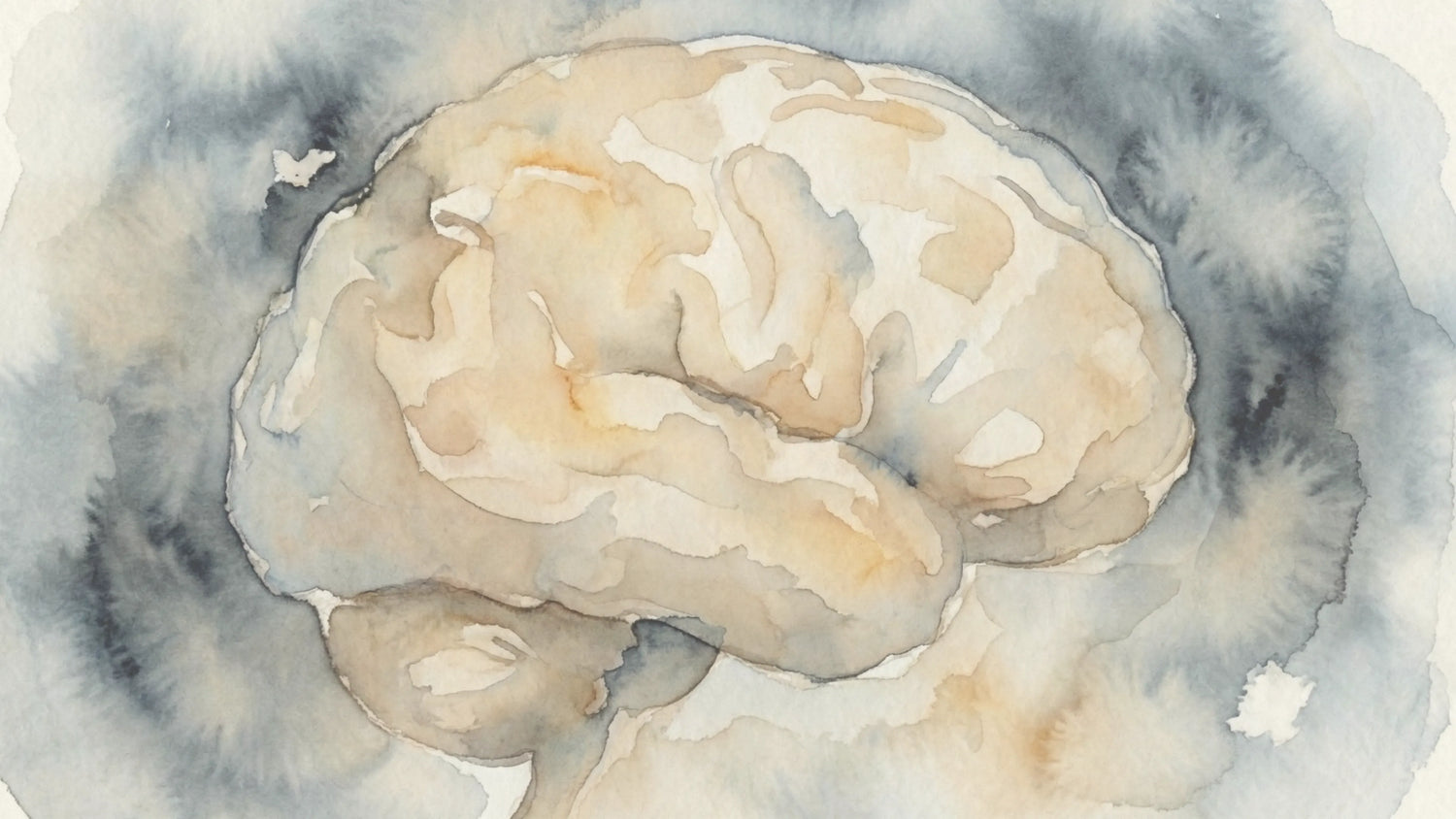 Sauna Use and Reduced Dementia Risk: What Long-Term Research Suggests