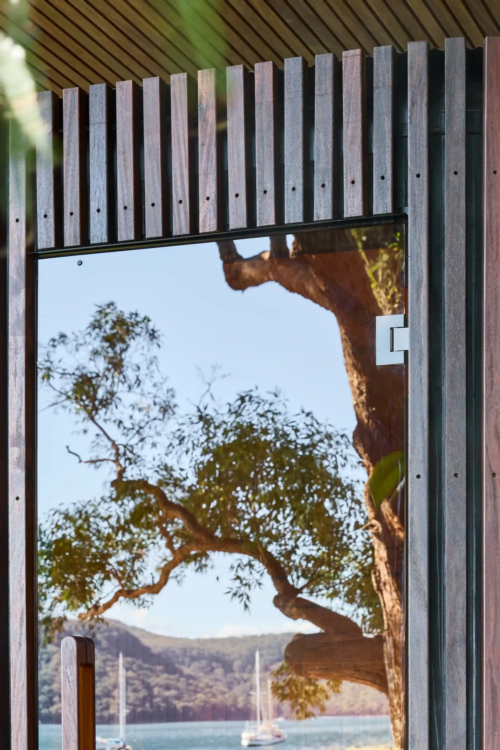Trees and sailing boats reflected in Elata’s glass door