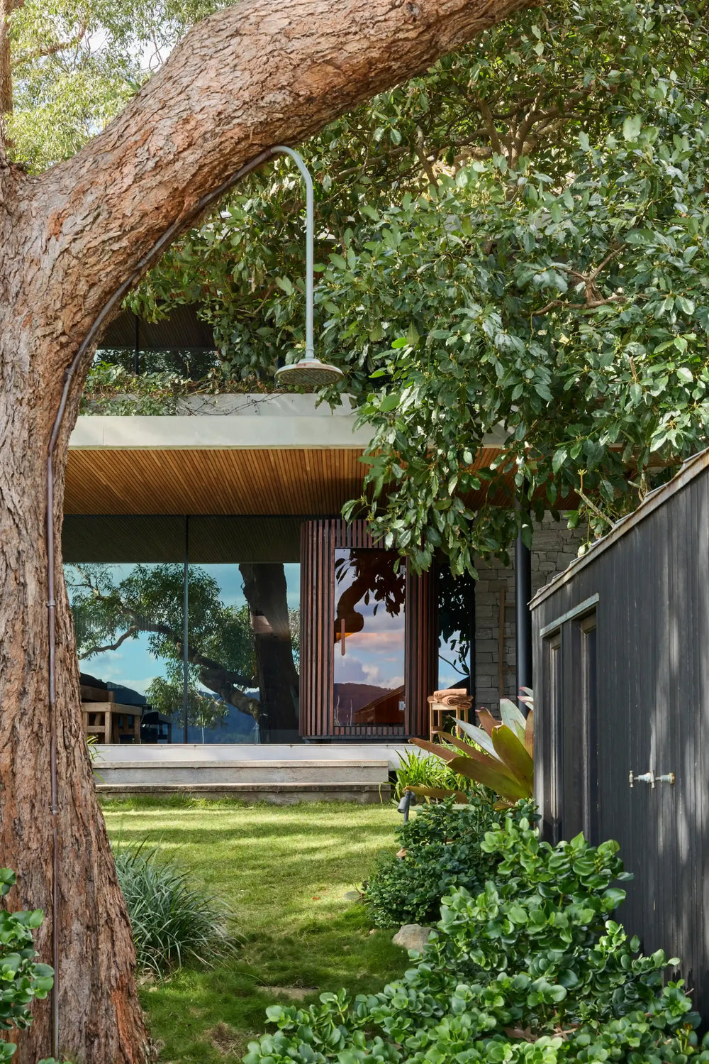 Elata framed by a leafy garden and outdoor shower